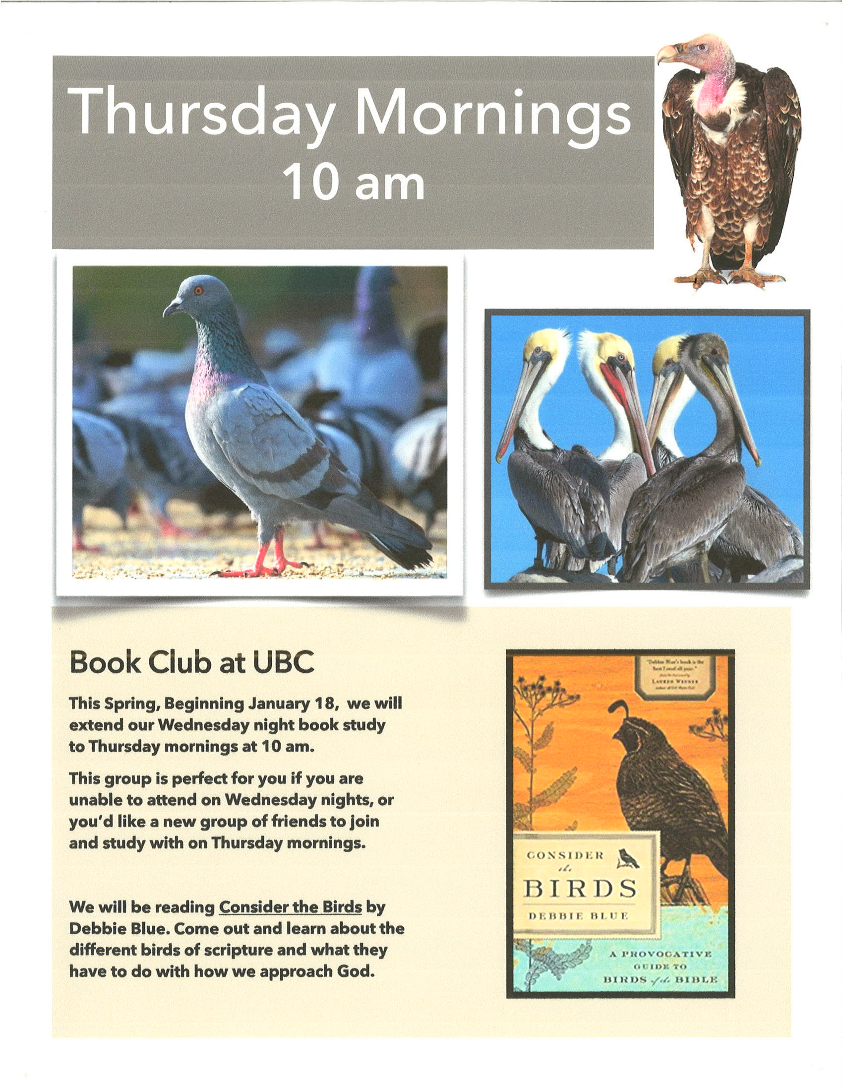 Birds-of-the-Bible-Book-Club